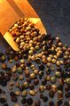 Soybean