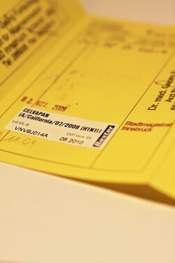 H1N1 vaccination card